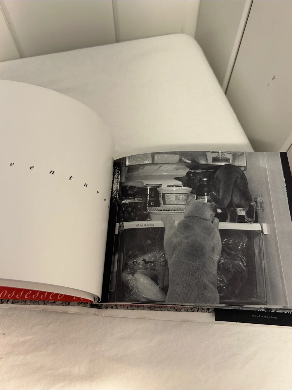 90s cat book What Cats Are cat photography book 1990s black and white art photos